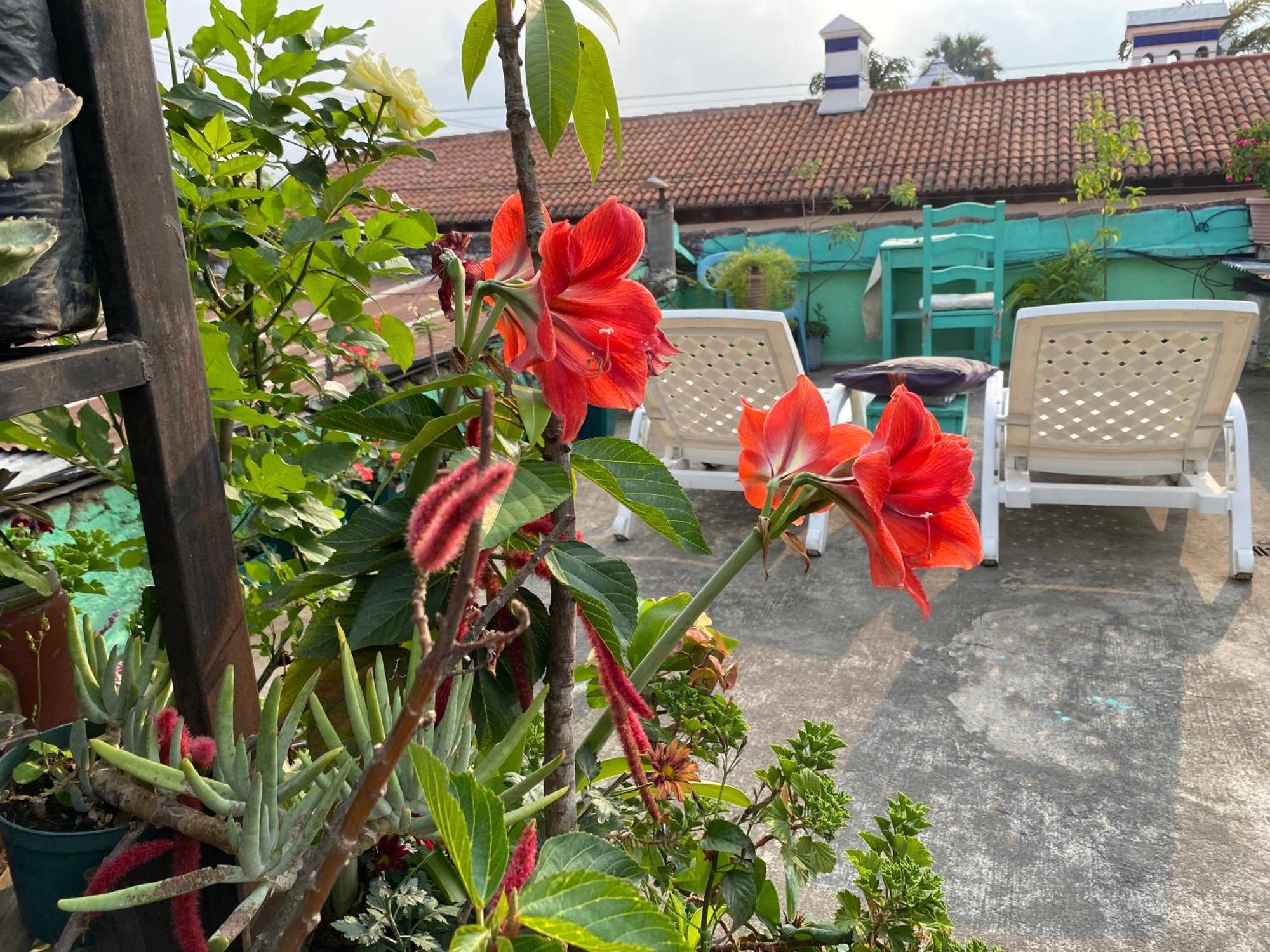 Casa De Leon Hotel Antigua ภายนอก รูปภาพ